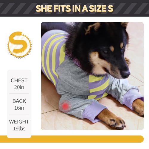 Image of FUAMEY Dog Recovery Sleeve with Elbow Protector for Small Dogs | Dog Shirt Stop Licking Joints, Long Sleeve Suit, Protecting Front Leg Arm, Wounds Cover Skin Conditions, Purple Stripes S