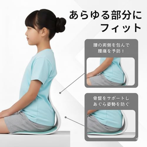 airara(アイララ) 姿勢矯正 椅子 ランバーサポート クッション の商品画像 6