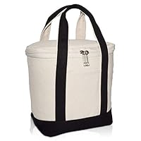 Algopix Similar Product 19 - DALIX Mini Can Cooler Bag Small