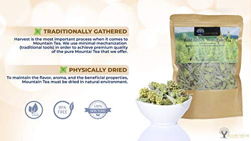 Organic Greek Mountain Tea Premium Quality from Mount Olympus Handpicked and Air-Dried (sideritis scardica) 40g (1.41oz) approx 60 Cups in DoyPack with ZipLock for Awesome Freshness and Aroma