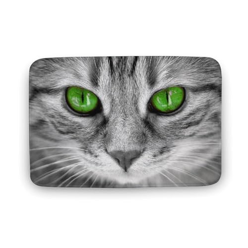 L   oX}bg z/唻 փ}bg  O   傫 ~ Aj LN^[ @}bg   ʏ