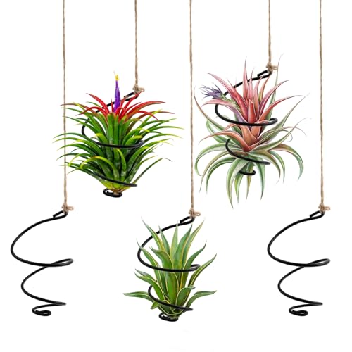 Fampery 12-Pack Hanging Air Plant Holders - Adjustable Rust-Resistant Iron Rings Air Plant Stand Display with Low-Tangle Jute Ropes for Tillandsia, Succulents, Home & Office Decor