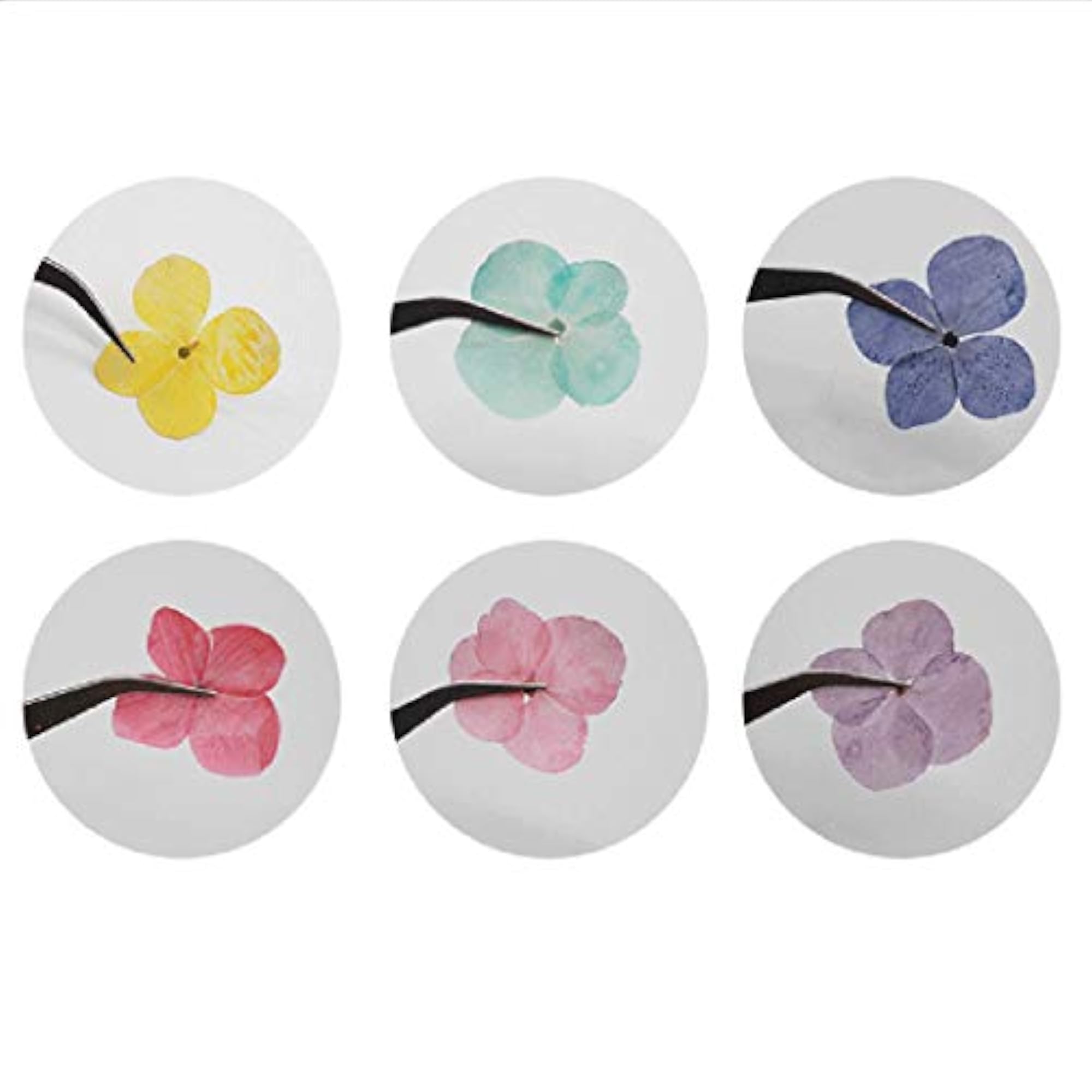 60PCS Pressed Hydrangea Flower DIY Craft Supplies