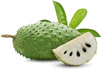 Whole Fresh Soursop | Exotic Tropical Fruit | Sweet, Juicy & Aromatic | Ideal for Smoothies, Desserts & Healthy Snacking | Fresh & Chilled Delivery