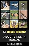 50 Things to Know About Birds in Kansas: Birdwatching in the Sunflower State (50 Things to Know About Birds- United States)