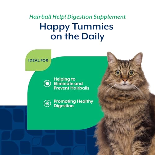 Best pumpkin supplement check product option for cat digestive support