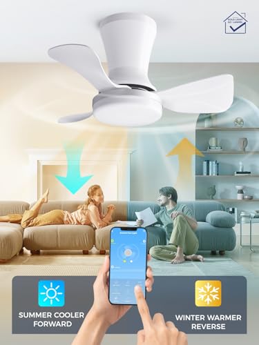 Image of LANMEL Ceiling Fan with Light, Modern Flush Mount Low Profile with Remote Control, Reversible, 3CCT Dimmable, Quiet,LED for Bedroom, Living Room, Indoor /Outdoor Patio Use 22 Inch Silver & White