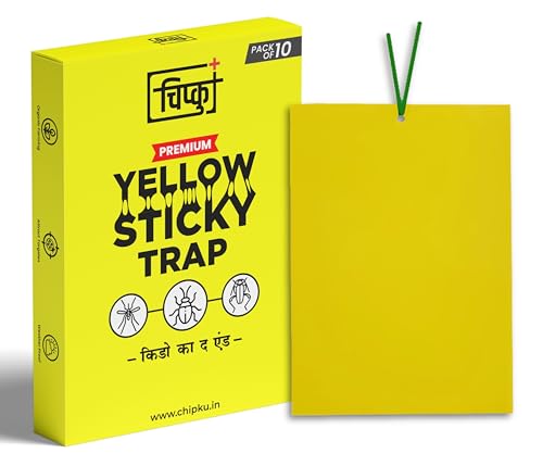Image of Chipku A5 PVC Yellow Sticky Trap Pack of 10 for Insects | Powerful Eco Fly Glue Trap for White Fly, Aphids & Thrips | Chemical-Free Agriculture & Garden Pest Control