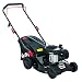 Produktbild Grizzly Tools Benzin Rasenmäher Briggs & Stratton 125 cc 4-Takt Motor - 42 cm Schnittbreite - Selbstreinigungsfunktion - Stahlgehäuse - 45 Liter Fangsack mit Hardtop und Füllstandsanzeige