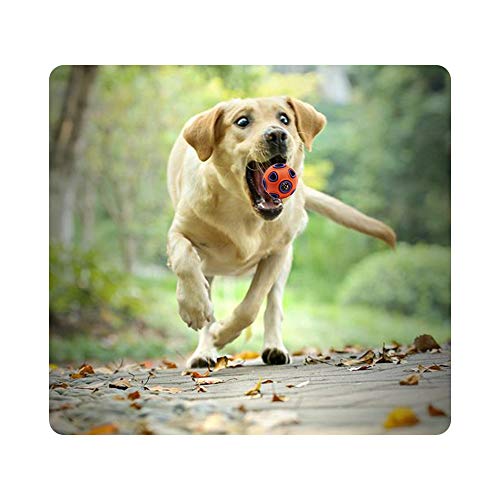 Andiker Hundeball, interaktives Hund Spielzeug mit Glocke, Gummiball, Hundebälle Hüpfball, Haustier-Sportspiele Intelligenzball IQ Bissbeständiges Spielzeug für Haustier-Kauspielzeug (S, Blau)