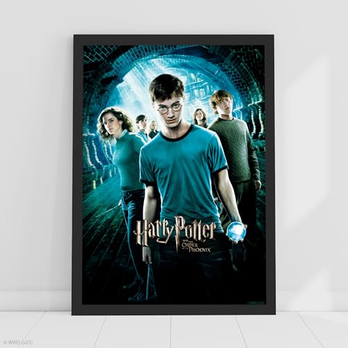 Image of Harry Potter Print - Harry Potter and The Order of the Phoenix Movie Poster Wall Art (29.7cm x 42cm - A3)