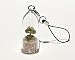 Baby's Necklace Live Succulent Plant Necklace. Succulent Terrarium Gift.