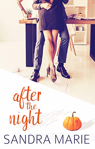 After the Night (Romance for all Seasons Book 1)