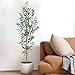 TDIAOL 6FT Artificial Olive Tree, Realistic Faux Tree with Leaves and Fruits for Indoor Home & Office Decor