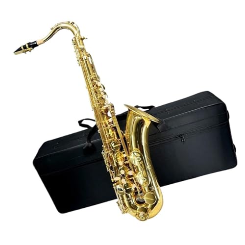 tFbViTbNX vdly Bbei[TbNX P[Xt