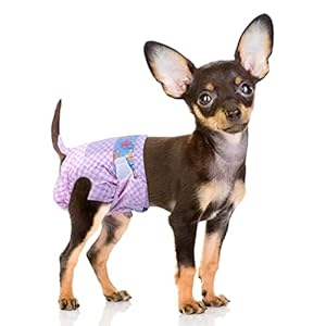 Flying Paws Disposable Dog Diapers, Suitable for Dogs and Cats, Adjustable Disposable Nappies from 10-40 Pieces (XS-10 Pack)