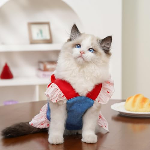 Disfraz cachorro vestido verano denim fresa con correa miniatura 3