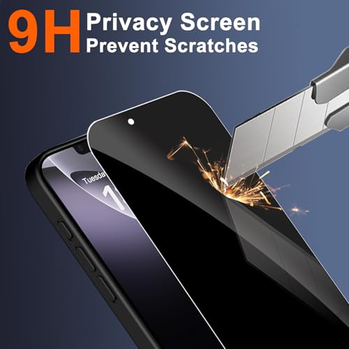 Image of Magnetic for iPhone 17e Case & iPhone 16e Case, Black