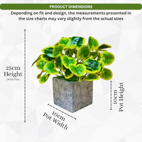 Image of fancymart Artificial Plant with Real-Touch Leaves in Pot, 25 cm, Indoor Tabletop Item for Home Decor, Office, Living Room