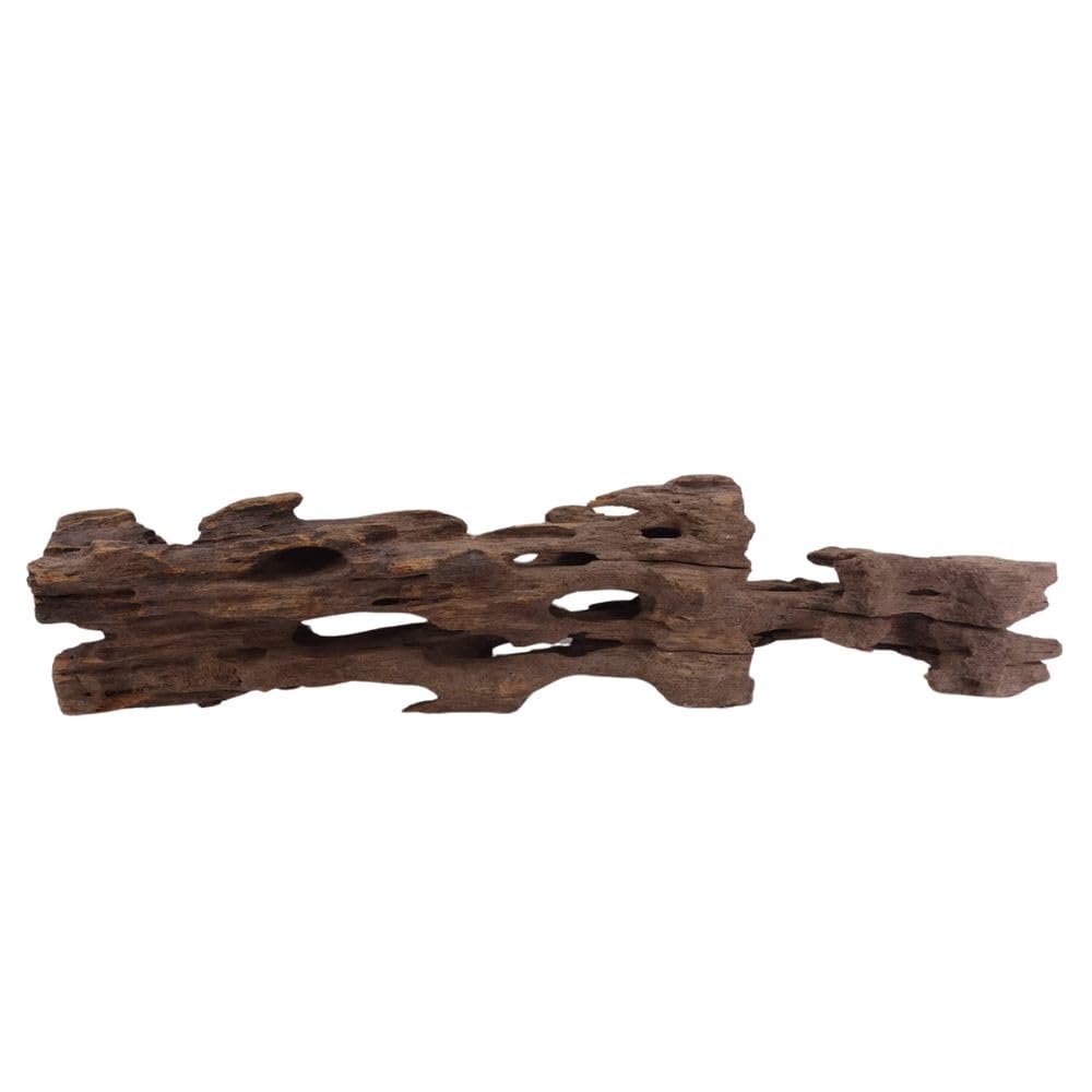 Racine d'aquarium Mangrove naturelle Honey Comb pour créer un paysage aquatique zen chez soi