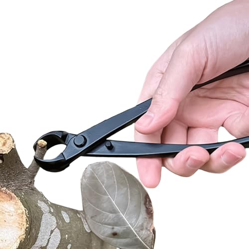 Ciseaux de jardinage pour élagage | Outils de jardin pour l'élagage avec coupe Bypass - Ciseaux de jardin - Pour branches, fleurs, arbres, florales, extérieur, maison et entretien du