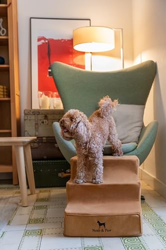 Escalier pour animaux en cuir Noah & Paw avec mousse haute performance extra large pour canapé