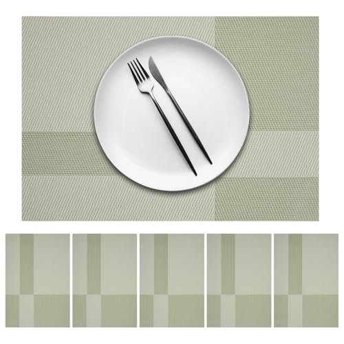 marysgift Place Mats for Table Placemats Set of 6 Woven Placemat 30cm x 45cm Decorative Non Slip Heat Resistant Washable Table Mat for Dining Kitchen Parties Camping Light Green
