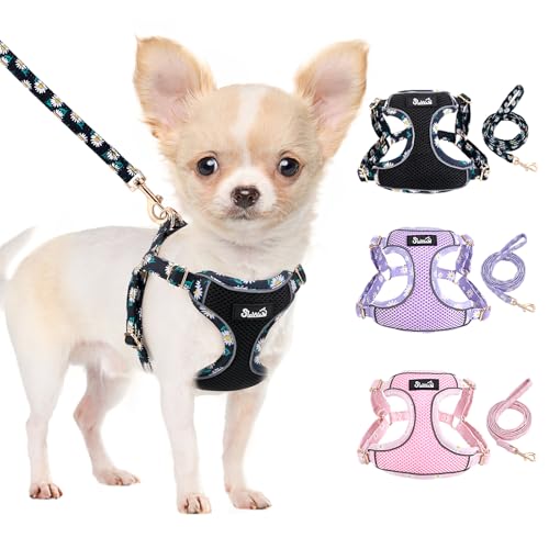 SlowTon Small Dog Harness and Leash Set, No Pull & Lightweight, Black, S