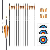 e5e10 31inch Carbon Arrow Archery Targeting Practice Hunting...