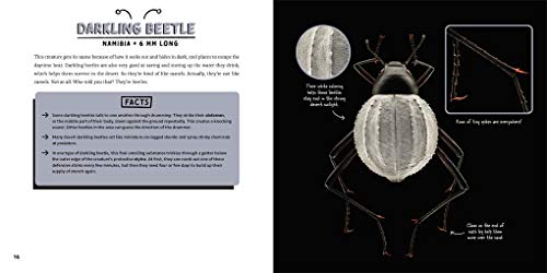 Strange Nature: The Insect Portraits of Levon Biss - Image 3