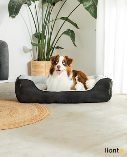 lionto Hundebett 2-in-1 mit komfortablem Einstieg, kuscheliges Heimtierbett zum Wenden für Hunde und Katzen, 110x80 cm, Hundekissen in pflegeleichter Wildlederoptik, schwarz/grau
