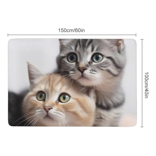 Tapis de salon lavable et antidérapant en velours corail unique