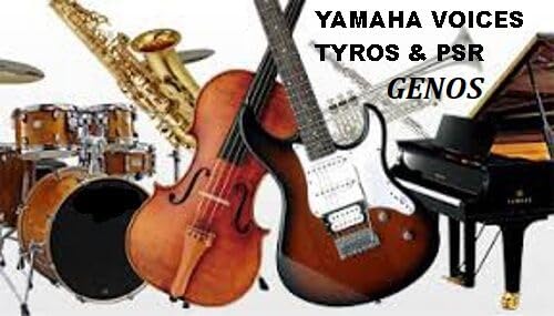 Espansione Voices USB, per YAMAHA Genos-Tyros-Psr S/SX DGX