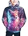HaniLav Kids Novelty 3D Printed Sweatshirt Girl Boy Galaxy Pullover Hoodies,Galaxy Pink Fox,XS