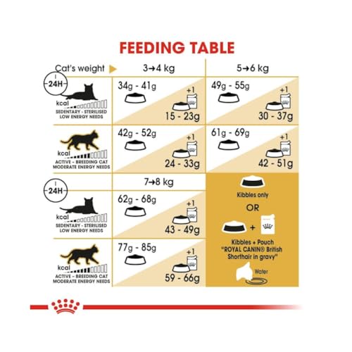 Royal Canin British Shorthair Adult | 4er Pack | 4 x 400 g | Alleinfuttermittel für British Shorthair Katzen | Speziell für Britisch Kurzhaar Katzen entwickelt | Ab dem 12. Monat