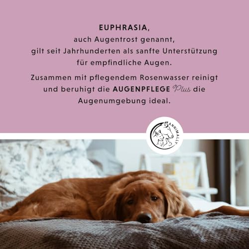 Annimally Augenpflege Plus - Natürlicher Augenreiniger für Hunde & Katzen, mit Euphrasia & Rosenwasser, 30 ml