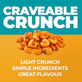 Crunchy Corn Snacks by Zest Delites, Sea Salt Roasted Corn, 20 g x 20 Packs, Healthy Snacks for Adults & Kids, Nuts-Like Crunch, Gluten Free, Vegan, NON-GMO