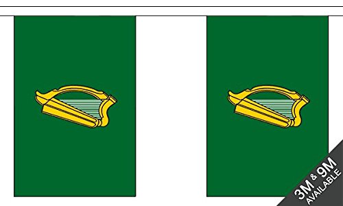 Flagtex Leinster Fabric Bunting – 3m with 10 Flags – Fabric for Indoor & Outdoor Use – String Flags Banners Irish Province Ireland East Dublin
