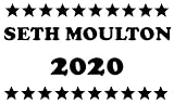 Seth Moulton 2020 25 Pcs Stickers Pack 2.25 x 1.25 in Democrat Election Vote