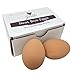 Nest Box Queen Ceramic Chicken Nest Eggs for Nest Box Training - 2 Pack (Brown)