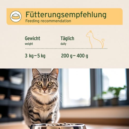 AniForte Fine Turkey Nassfutter für Katzen 6 x 400 g – Katzenfutter nass mit viel Truthahn & Gemüse, natürliches Futter für Katzen, Katze Nassfutter getreidefrei, hoher Fleischanteil