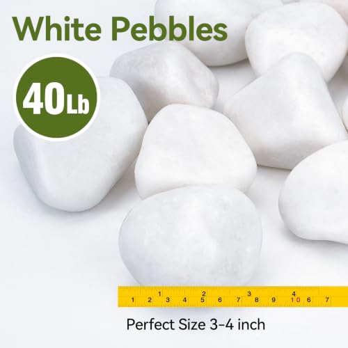 Image of Pulovin 40 lbs White Rocks for Landscaping, 3-4 Inch White River Rocks | Large White Rocks for Plants, Decorative Polished Stones for Garden, Walkways, Yard, Plants Pots, Vases, Crafts