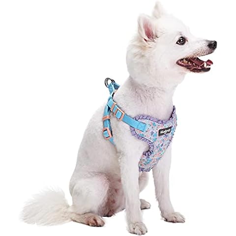 Blueberry Pet 5 Patterns Soft & Comfy Spring Made Well Lovely Floral No Pull Mesh Puppy Dog Harness Vest in Lavender, Chest Girth 35cm-41cm, Neck 35cm-40.5cm, X-Small, Adjustable Harnesses for Dogs Cover
