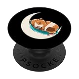 Cochon d'Inde endormi mignon sur la lune PopSockets PopGrip Interchangeable