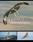 Hawks from Every Angle: How to...