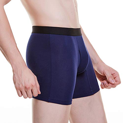 Thsissue Men's Ice Silk Underwear Breathable Soft Ultra-Thin Mesh Boxer Briefs (Model 4, Xx-Large) #TOP2