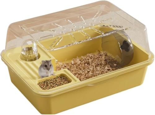 Zeruho S[fnX^[ ANAAEh~݌v nX^[P[W 2iP[W 悢ʋC (CG[)