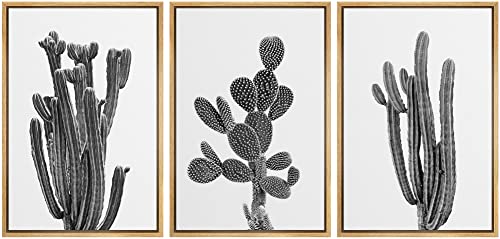 Ashbrook Framed Wall Art Print Set Black & White Southwest Desert Cactus Nature Floral Photography Modern Decorative Multicolor Relax/Calm for Living Room, Bedroom, Office - 24"x36"x3 NA...