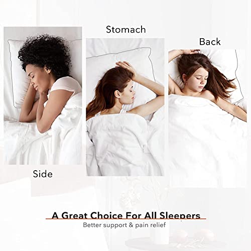 Image of Microfiber Soft White Pillows | Pillows for Sleeping - Sets of 2 (Size - 16x24 Inches & 40x60 cm) - Pack of 2 Soft White Pillows