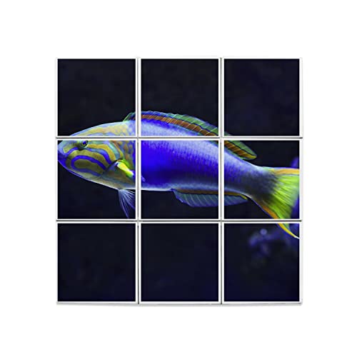 Carreaux céramique poisson bleu et jaune pour remplacer une crédence fade